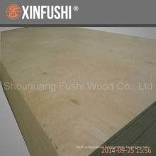 birch plywood export to Amercian